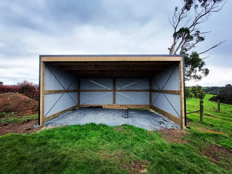 Shed